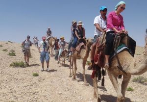 יאהלה קאמפ: חאן באזור עבדה
